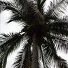april_1218